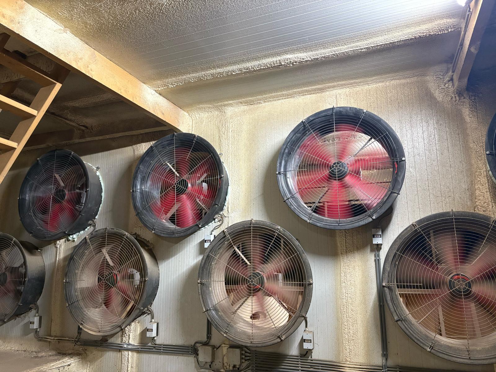 WhatsApp Image 2025-08-06 at 1.09.36 PM