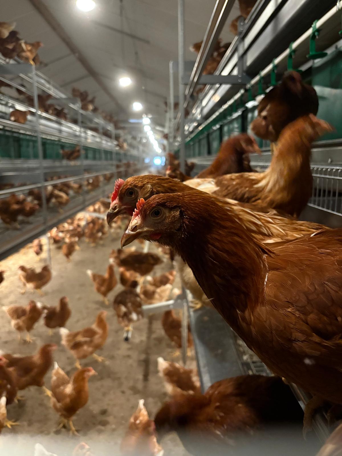 WhatsApp Image 2025-08-06 at 1.09.48 PM